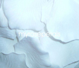Petals - 200 Silk Rose Petals Wedding Favors - Solid Colors - White