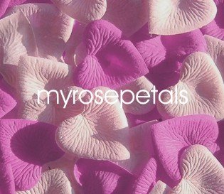 Petals - 1000 Heart Wedding Silk Rose Flower Petals Wedding Favors - Hot Pink & Pale Pink