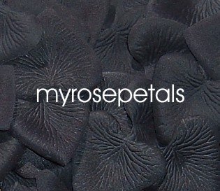 Petals - 200 Heart Wedding Silk Rose Flower Petals Wedding Favors - Black