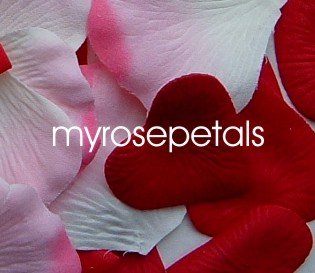 Petals - 200 Heart Wedding Silk Rose Flower Petals Wedding Favors - Burgundy