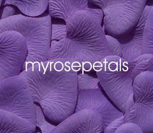 Petals - 200 Heart Wedding Silk Rose Flower Petals Wedding Favors - Purple