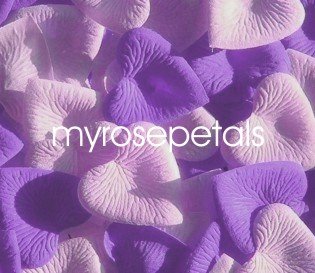 Petals - 200 Heart Wedding Silk Rose Flower Petals Wedding Favors - Lavender & Pale Pink