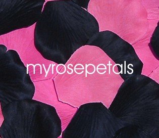 Petals - 200 Wedding Silk Rose Flower Petals Wedding Favors - Black & Hot Pink