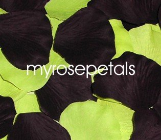 Petals - 200 Wedding Silk Rose Flower Petals Wedding Favors - Black & Lime Green