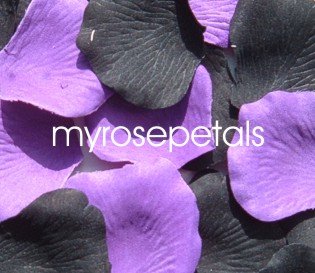 Petals - 200 Wedding Silk Rose Flower Petals Wedding Favors - Black & Purple
