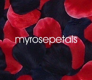 Petals - 200 Wedding Silk Rose Flower Petals Wedding Favors - Black & Red