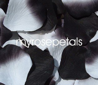 Petals - 200 Wedding Silk Rose Flower Petals Wedding Favors - Black & White/Black