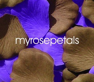 Petals - 200 Wedding Silk Rose Flower Petals Wedding Favors - Brown & Purple