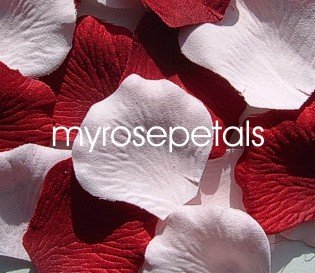 Petals - 200 Wedding Silk Rose Flower Petals Wedding Favors - Burgundy & Pale Pink
