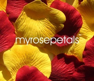 Petals - 200 Wedding Silk Rose Flower Petals Wedding Favors - Burgundy & Yellow