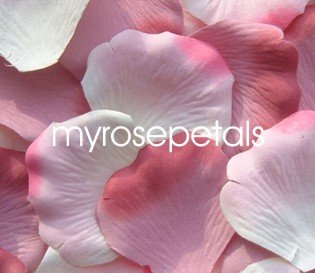 Petals - 200 Wedding Silk Rose Flower Petals Wedding Favors - Dusty Rose & White/Pink