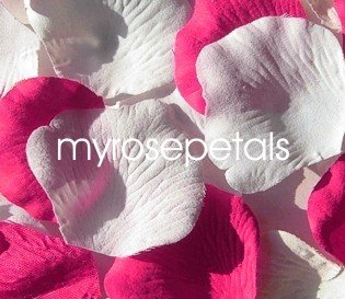 Petals - 200 Wedding Silk Rose Flower Petals Wedding Favors - Hot Pink & White