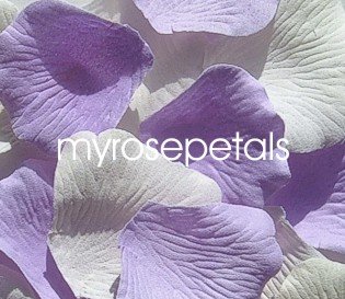 Petals - 200 Wedding Silk Rose Flower Petals Wedding Favors - Lavender & White