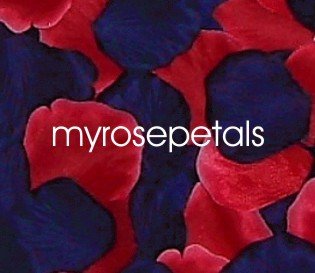 Petals - 200 Wedding Silk Rose Flower Petals Wedding Favors - Navy Blue & Red