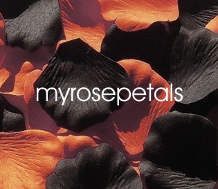 Petals - 200 Wedding Silk Rose Flower Petals Wedding Favors - Orange & Black