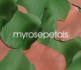 Petals - 200 Wedding Silk Rose Flower Petals Wedding Favors - Peach & Green