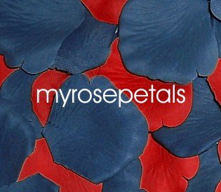 Petals - 200 Wedding Silk Rose Flower Petals Wedding Favors - Periwinkle & Red