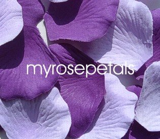Petals - 200 Wedding Silk Rose Flower Petals Wedding Favors - Purple & Lavender