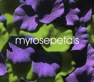 Petals - 200 Wedding Silk Rose Flower Petals Wedding Favors - Purple & Lime Green