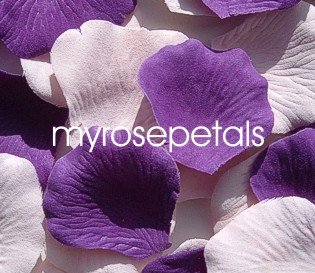 Petals - 200 Wedding Silk Rose Flower Petals Wedding Favors - Purple & Pale Pink