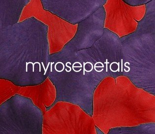 Petals - 200 Wedding Silk Rose Flower Petals Wedding Favors - Purple & Red