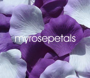 Petals - 200 Wedding Silk Rose Flower Petals Wedding Favors - Purple & White/Lavender