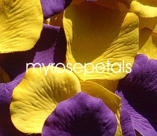 Petals - 200 Wedding Silk Rose Flower Petals Wedding Favors - Purple & Yellow