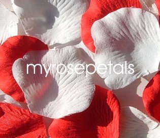 Petals - 200 Wedding Silk Rose Flower Petals Wedding Favors - Red & White