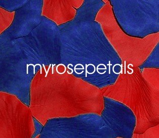 Petals - 200 Wedding Silk Rose Flower Petals Wedding Favors - Royal Blue & Red