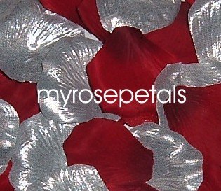 Petals - 200 Wedding Silk Rose Flower Petals Wedding Favors - Silver & Burgundy
