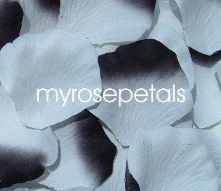 Petals - 200 Wedding Silk Rose Flower Petals Wedding Favors - White & White/Black