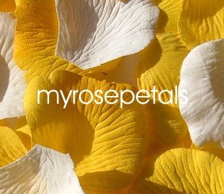 Petals - 200 Wedding Silk Rose Flower Petals Wedding Favors - White & Yellow