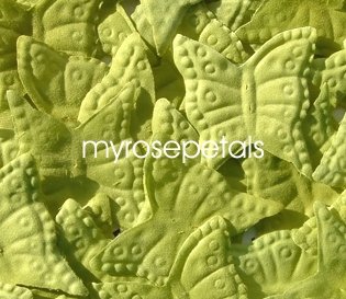 Petals - 200 Butterfly Shaped Silk Rose Petals - Wedding Favors - Lime Green