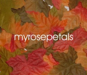 Petals - 200 Maple Leaf Silk Rose Flower Petals Wedding Favors - Mixed Color
