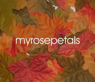 Petals - 1000 Maple Leaf Silk Rose Flower Petals Wedding Favors - Mixed Color