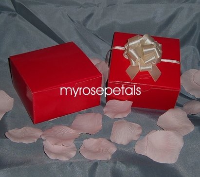Glossy Favor Boxes - 4"x 4" x 2" Red - (25 pcs) Wedding/Shower/Party Favors