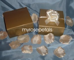 Glossy Favor Boxes - 4"x 4" x 2" Gold - (50 pcs) Wedding/Shower/Party Favors