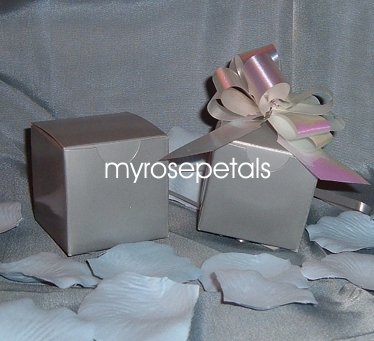 Glossy Favor Boxes - 2"x 2" x 2" Silver - (50 pcs) Wedding/Shower/Party Favors