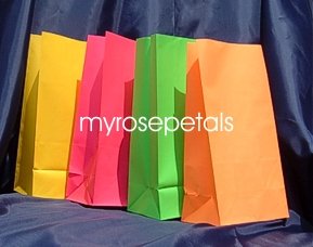 Paper Favor Treat Goody Luau Party Gift Bags - Neon Colors Assorted (10 Bags)