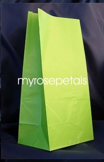 Paper Favor Treat Goody Luau Party Gift Bags - Lime Green (12 Bags)