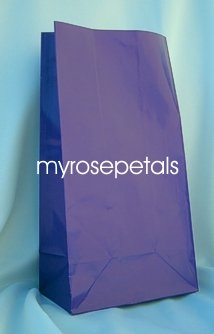 Paper Favor Treat Goody Luau Party Gift Bags - Purple (12 Bags)