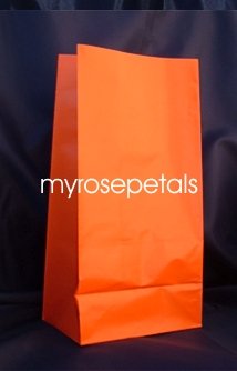 Paper Favor Treat Goody Luau Party Gift Bags - Orange (12 Bags)