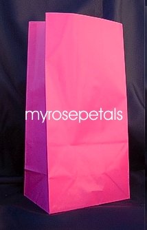 Paper Favor Treat Goody Luau Party Gift Bags - Hot Pink (12 Bags)