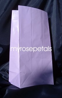Paper Favor Treat Goody Luau Party Gift Bags - Lavender (12 Bags)