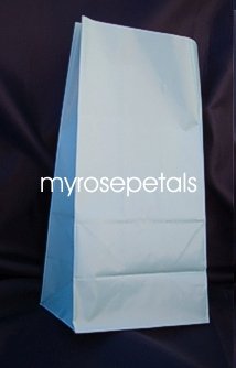 Paper Favor Treat Goody Luau Party Gift Bags - Light Blue (12 Bags)