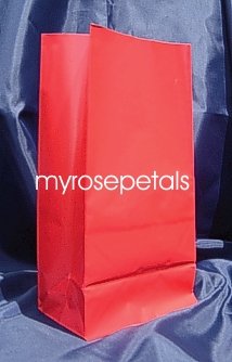 Paper Favor Treat Goody Luau Party Gift Bags - Red (12 Bags)
