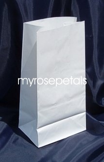 Paper Favor Treat Goody Luau Party Gift Bags - White (12 Bags)