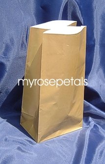 Paper Favor Treat Goody Luau Party Gift Bags - Gold (10 Bags)