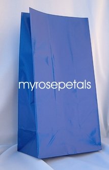 Paper Favor Treat Goody Luau Party Gift Bags - Royal Blue (12 Bags)