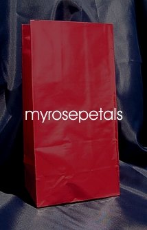 Paper Favor Treat Goody Luau Party Gift Bags - Burgundy (12 Bags)